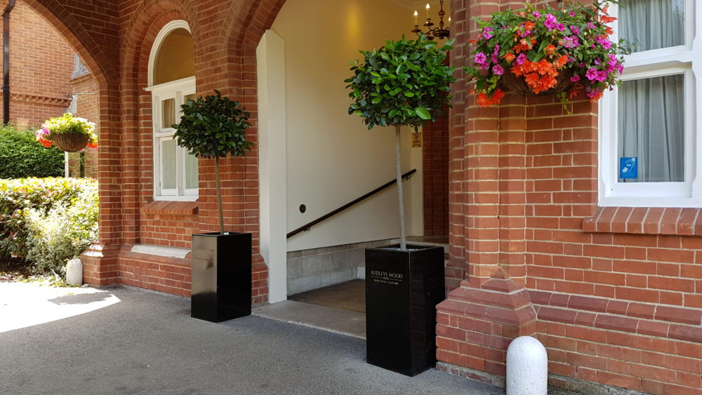 Hotel Outdoor Plants Exterior Plants for Hotels Leaflike