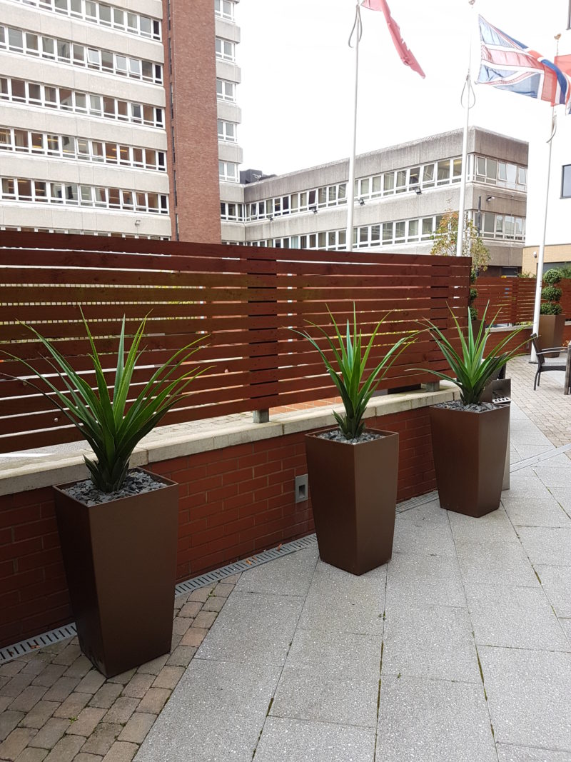 Hotel Outdoor Plants Exterior & Entrance Plants for Hotels Leaflike