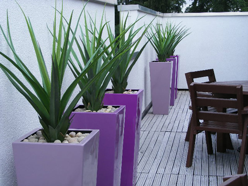 Hotel Outdoor Plants Exterior & Entrance Plants for Hotels Leaflike