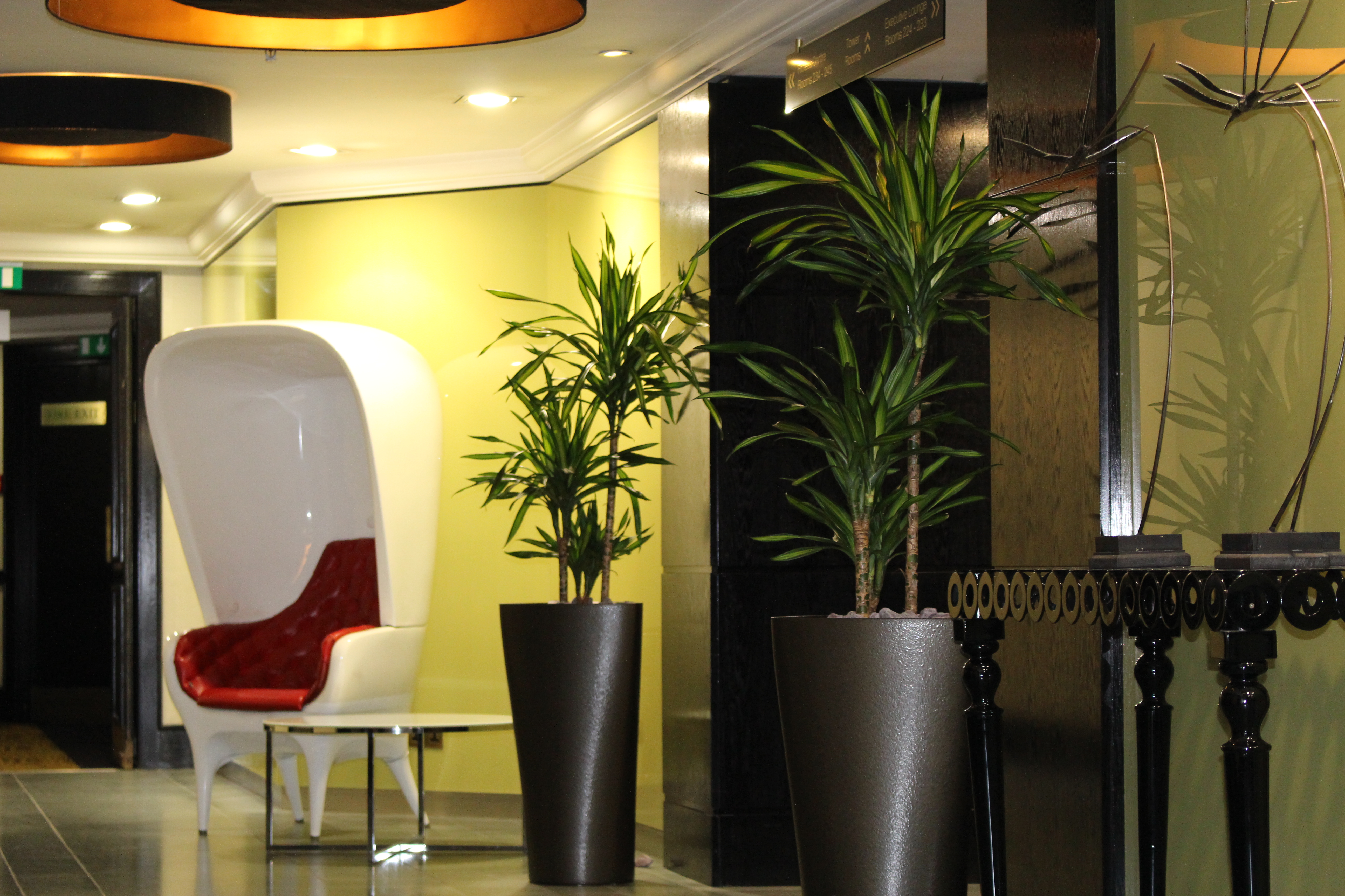 Hotel Planting Schemes Indoor Plants &amp; Trees For Hotels