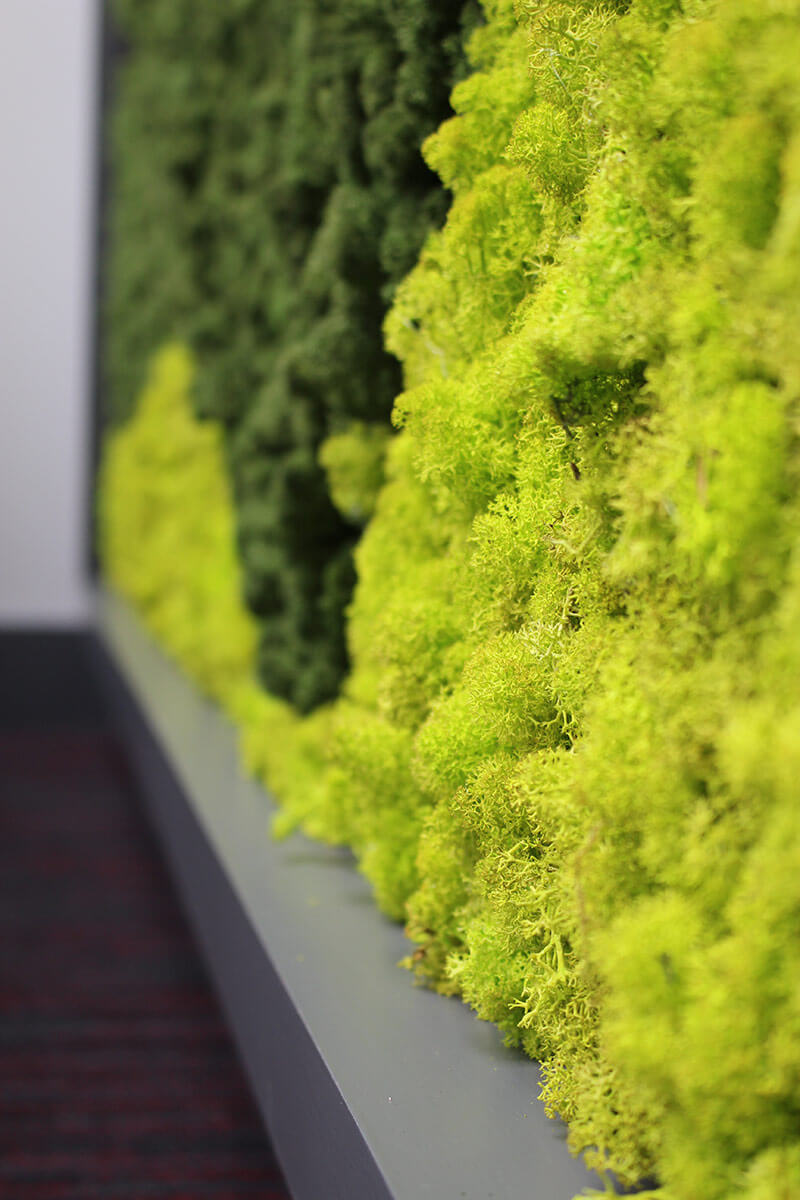 Artificial Green Walls Living Wall Leaflike