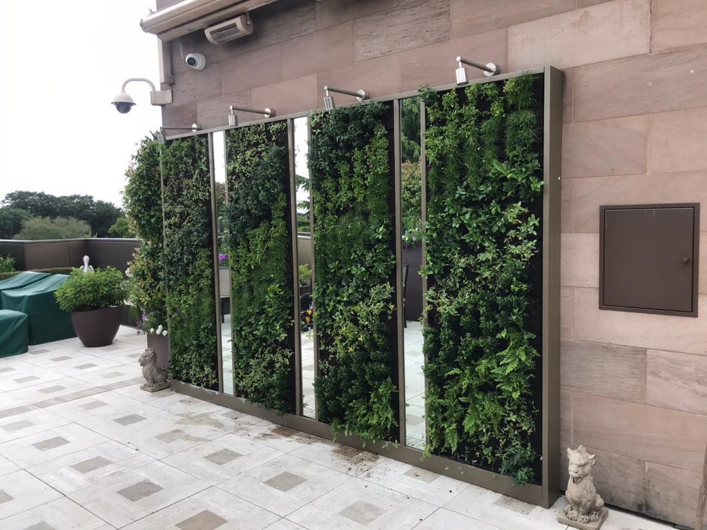 Residential Living Wall Case Study Leaflike