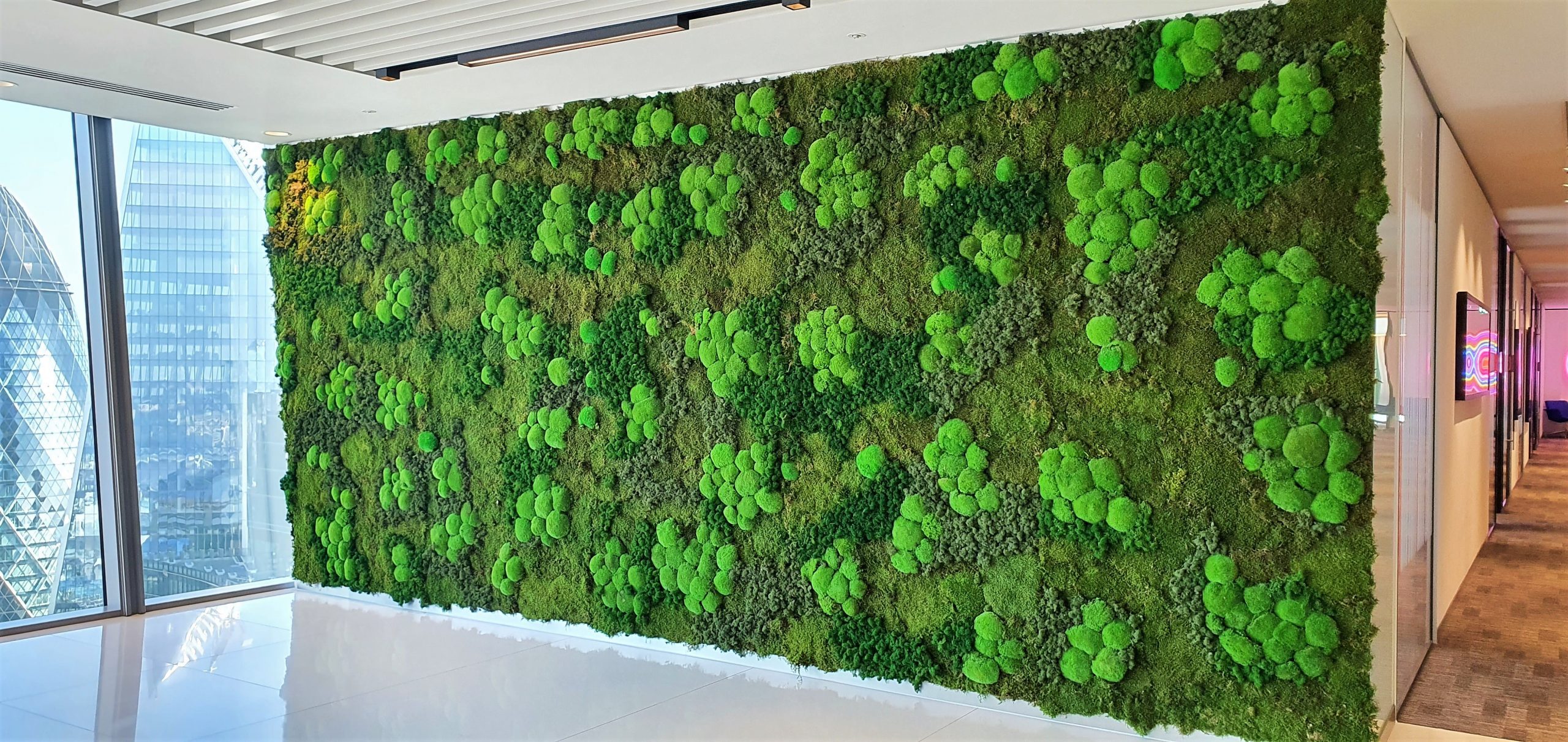 Plant and Moss Walls - Vibe Architecture