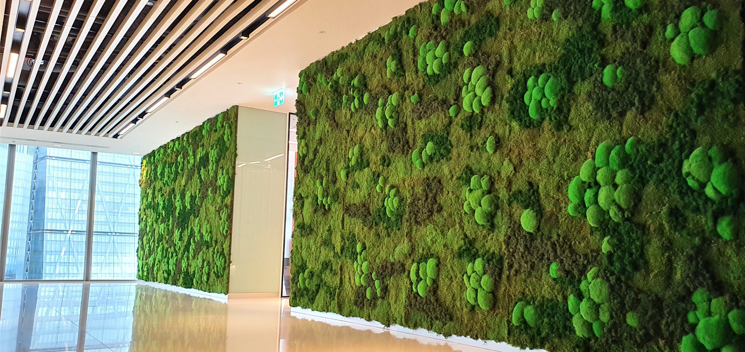 Moss Wall - Indoor Moss Wall Panels - Leaflike