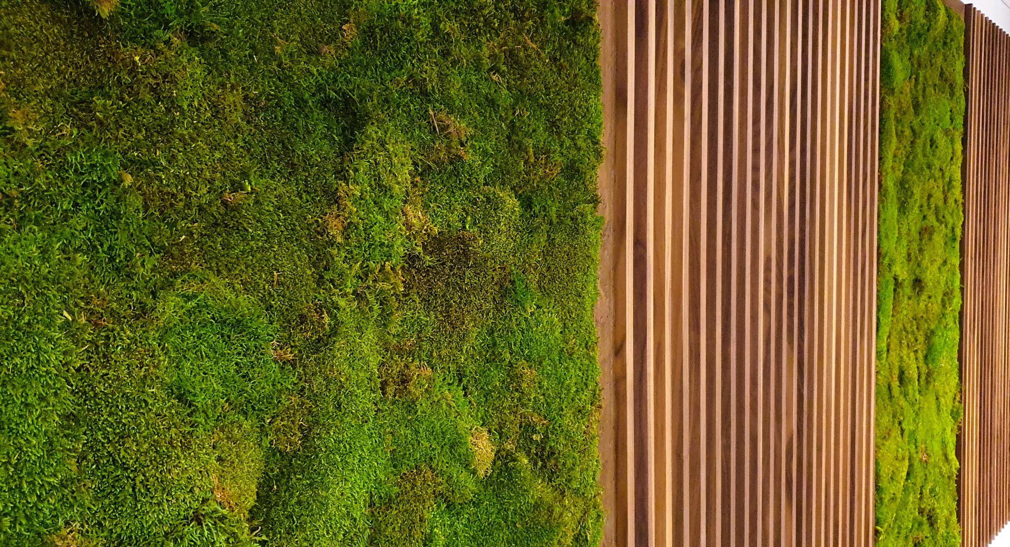 Do moss walls smell? Leaflike