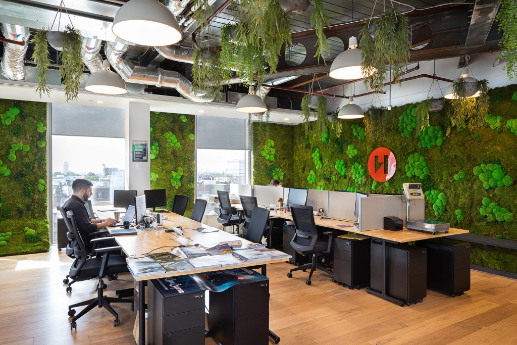 View of Moss walls vs. Living walls - Advantages and Disadvantages - Leaflike