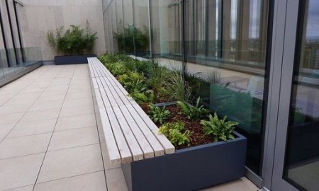 Exterior Insitu Planting