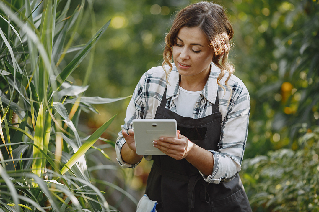 Intelligent control systems for irrigation